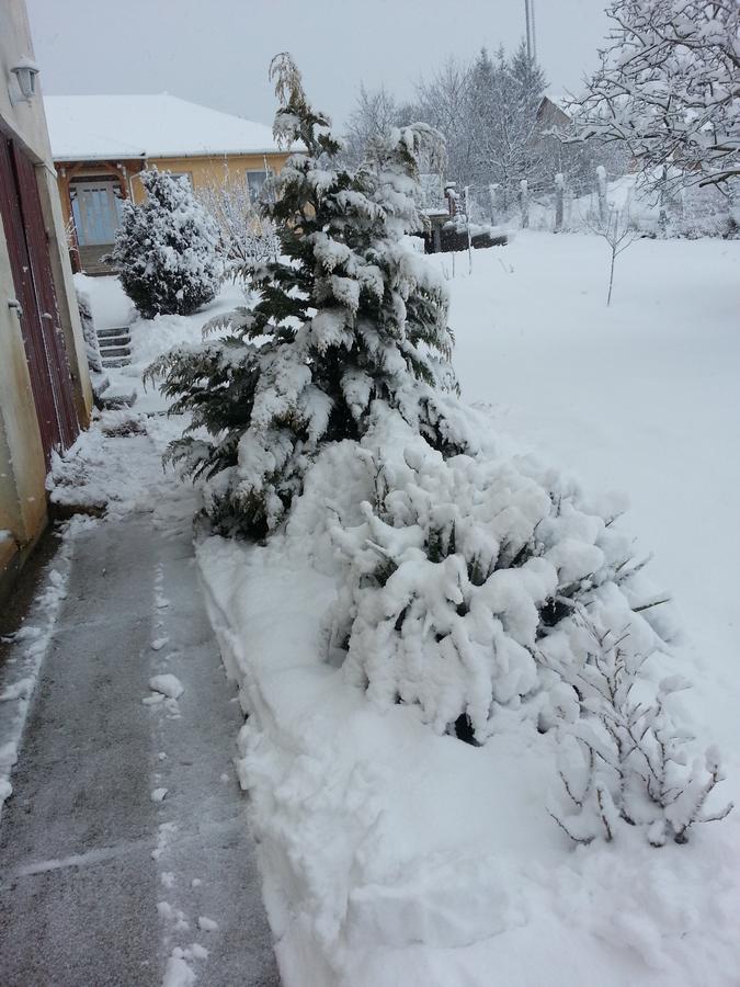 Boroka Vendeghaz Hotel Aggtelek Bagian luar foto